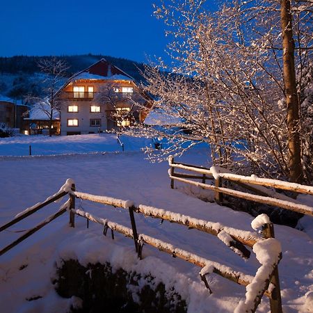 Schaetzlehof Otel Winden im Elztal Dış mekan fotoğraf