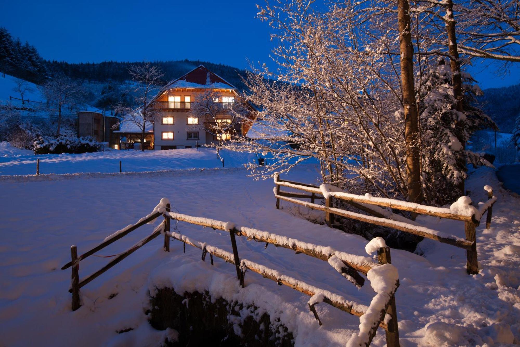 Schaetzlehof Otel Winden im Elztal Dış mekan fotoğraf