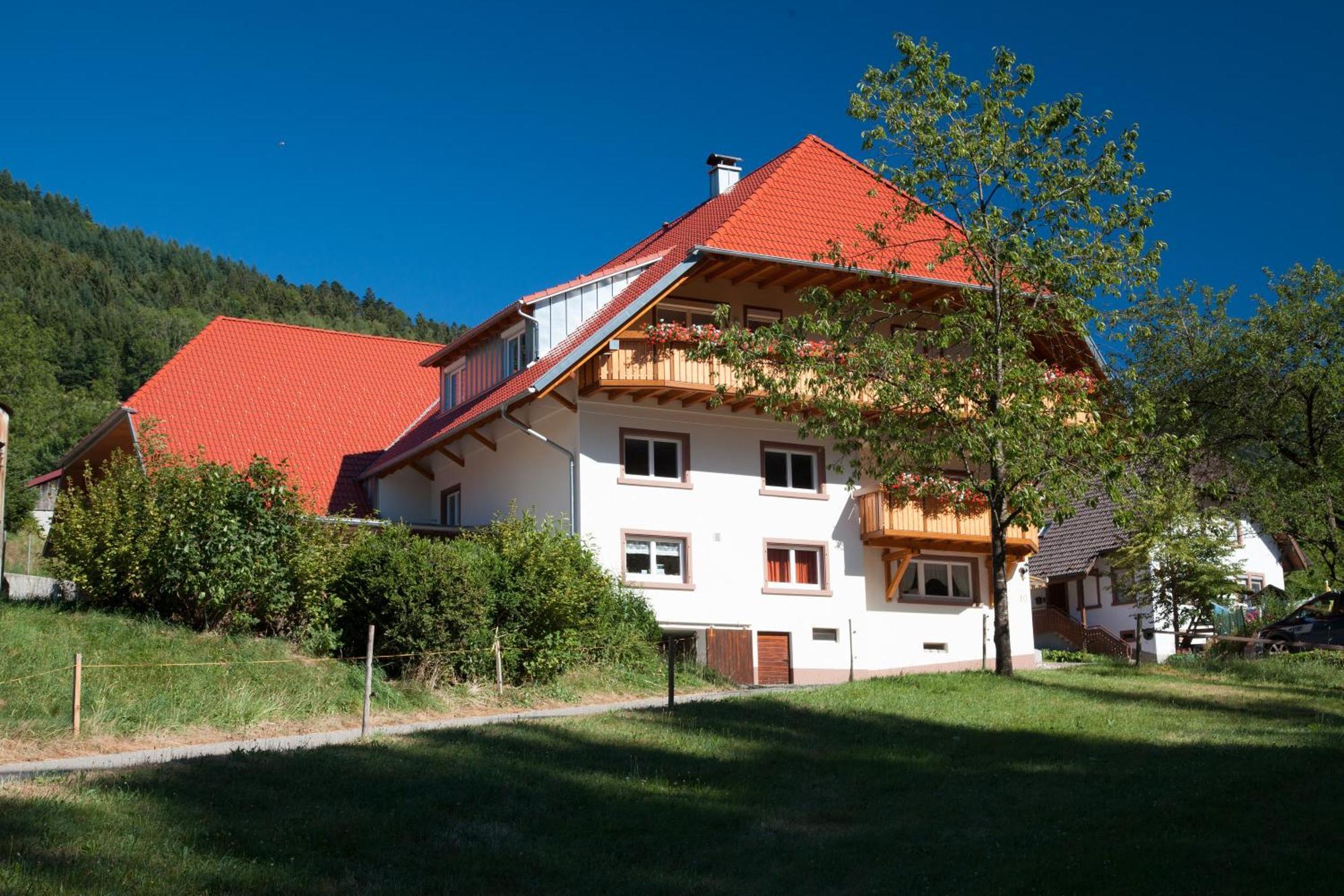 Schaetzlehof Otel Winden im Elztal Dış mekan fotoğraf