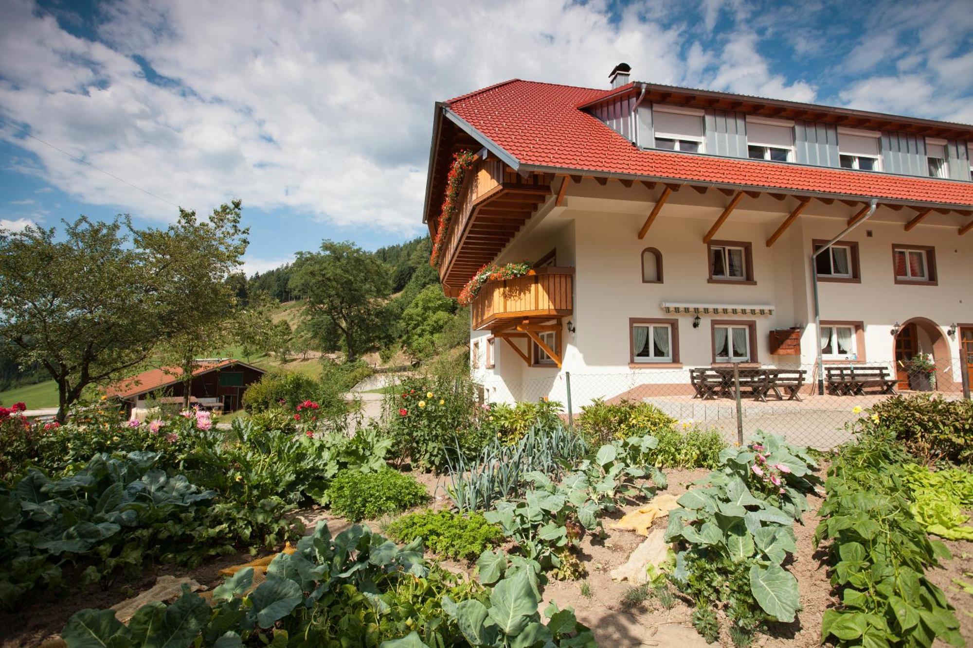 Schaetzlehof Otel Winden im Elztal Dış mekan fotoğraf