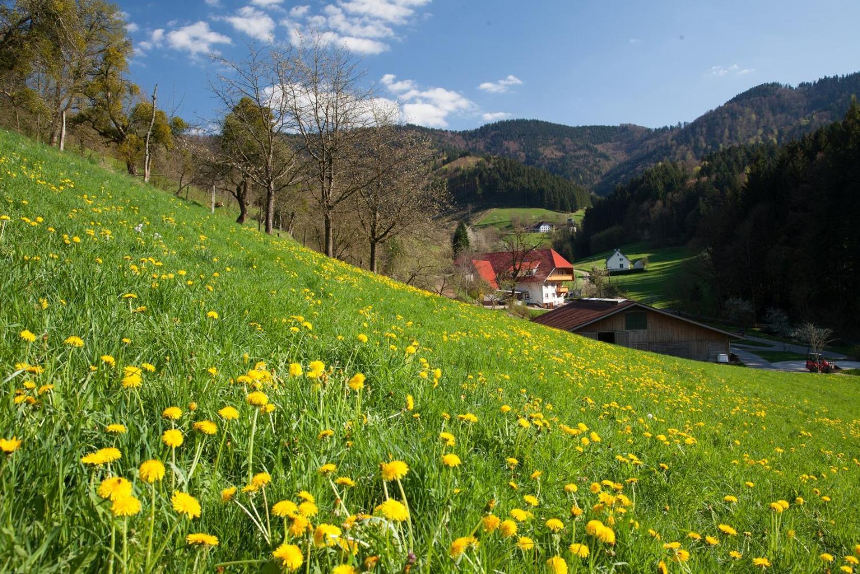 Schaetzlehof Otel Winden im Elztal Dış mekan fotoğraf