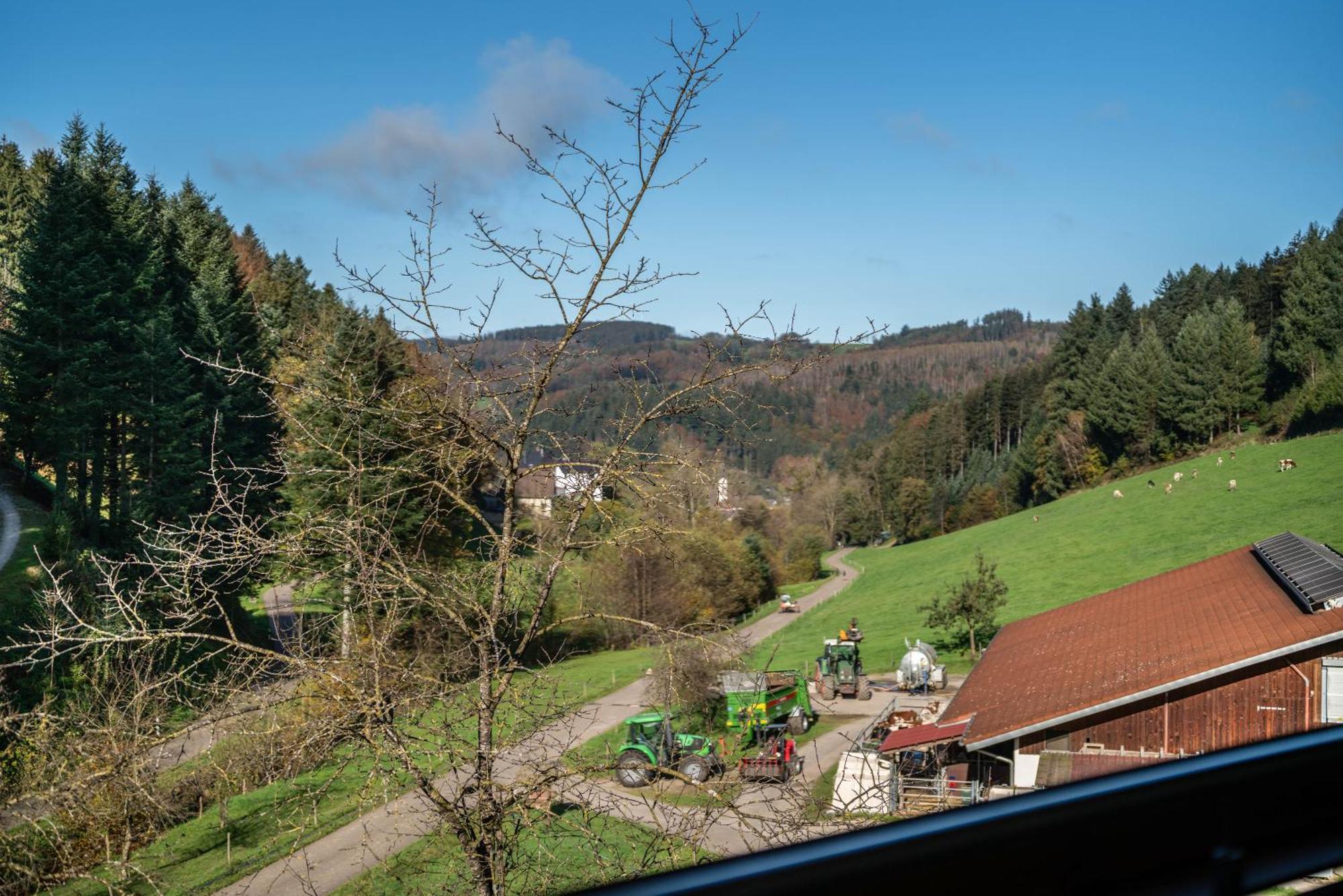 Schaetzlehof Otel Winden im Elztal Dış mekan fotoğraf